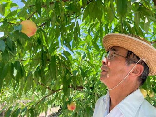 小川晴夫さんの畑でした