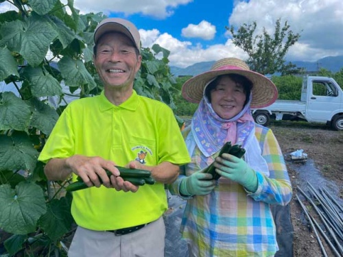 JA晴れの国岡山 勝英きゅうり部会 安藤榮一部会長と奥さんの昭子さん