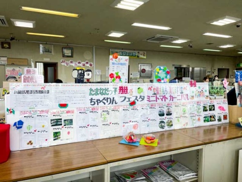 灘崎支所に展示されているトマトの栽培日記