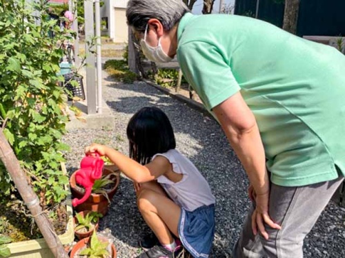 ミニトマトに水をやる悠乃ちゃん