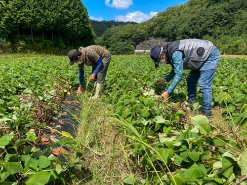 農園 淺邊 史也さん（33）と、地の輪農園 岸 優兵さん（33）