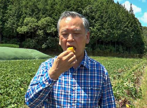 𠮷村市長が試食