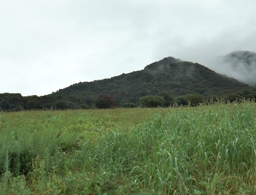 放牧地のすぐそばは、ひるらくが管理している牧草地