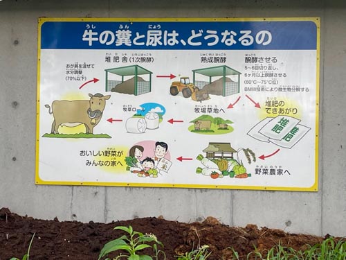 土には、牛たちのフンなどで作られた、 たい肥が使われている