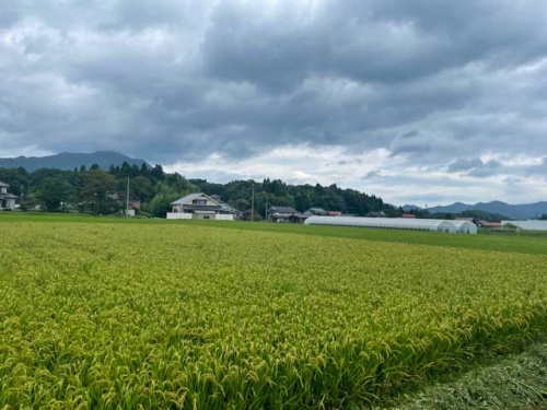 蒜山