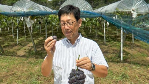 町長の試食タイム