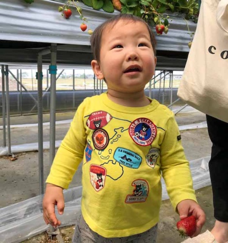 孫の歩くん