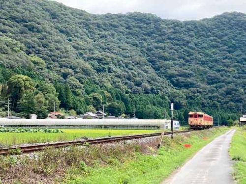 森末さんのハウス近く