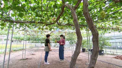 天井の高い森末さんのハウス