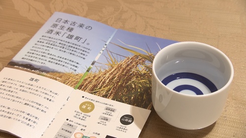雄町米の紹介パンフレット