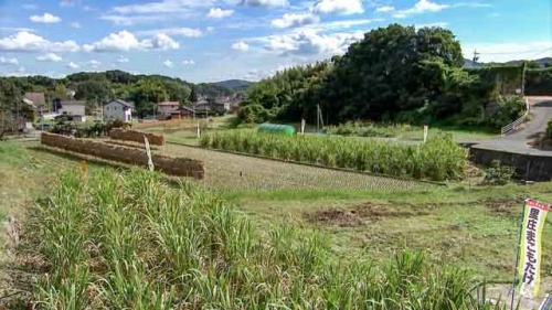 里庄町の畑