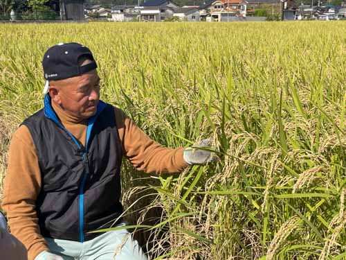 作業する山地さん