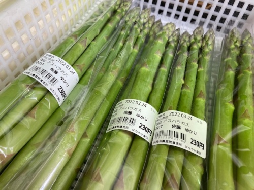 アスパラガス