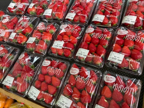 イチゴ