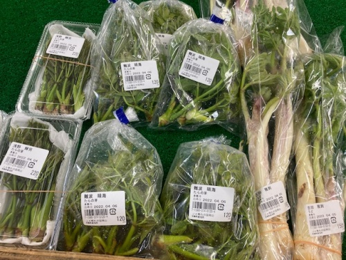 岡山の早島町直売所