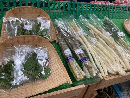 はなやか瀬戸内店内で販売されている春の山菜