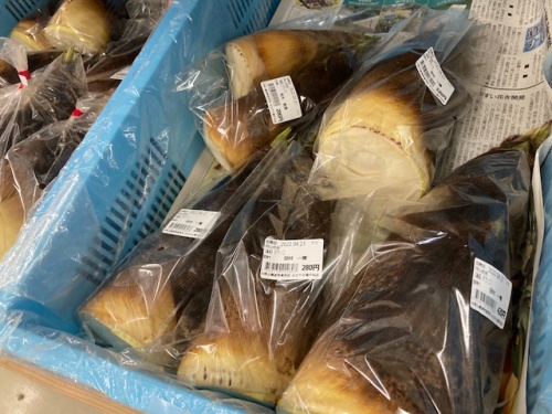 はなやか瀬戸内店内で販売されているタケノコ
