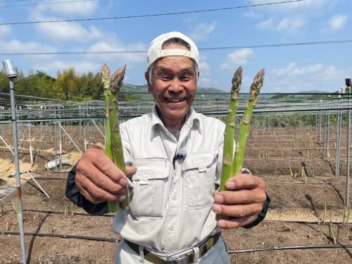 JA晴れの国岡山 矢掛アスパラガス部会 中本 静満さん