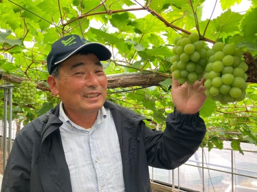 船穂町ぶどう部会　浅野三門部会長