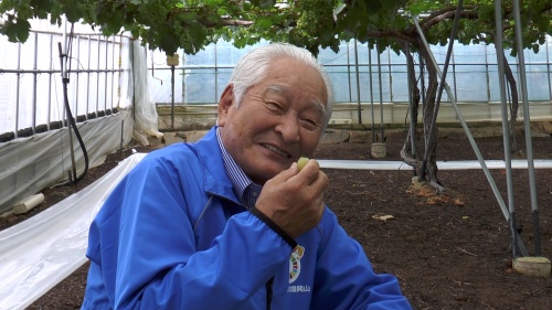 マスカットを試食する石我組合長
