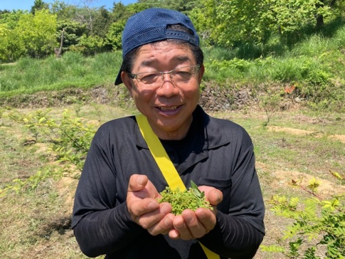 栽培3年目の川上勝之(かわかみ かつし)さん