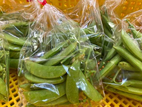 スナップエンドウやソラマメなどの豆類