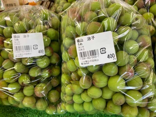 自宅で梅干しにして食べる人が多いそう