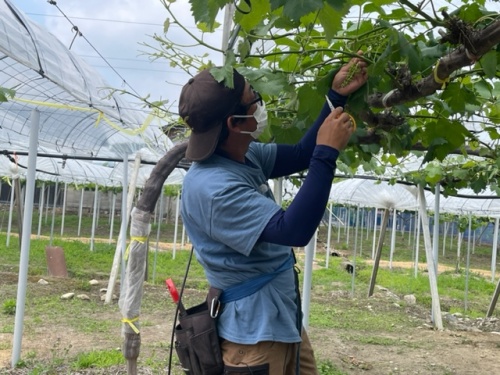 女性スタッフリポート JAグループ岡山 笑味（えみ）ちゃん天気予報