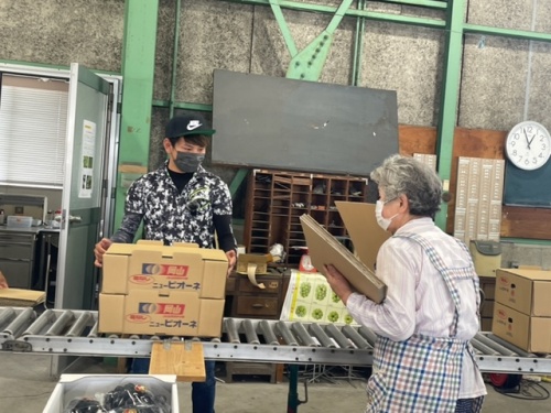 作業中の若手農家さん