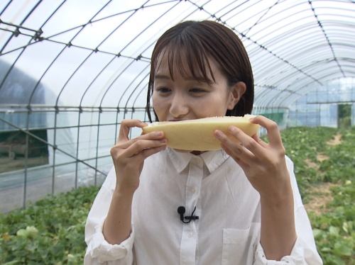 試食中