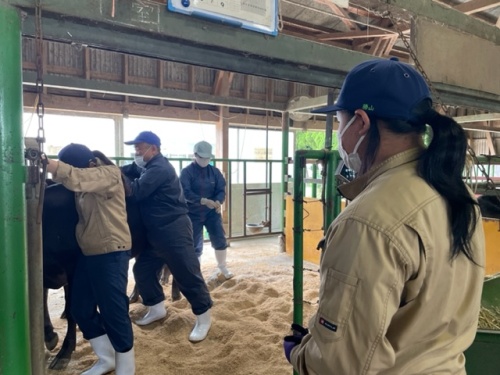 作業を見つめる勝山さん