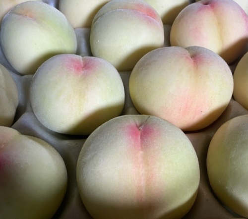 女性スタッフリポート JAグループ岡山 笑味（えみ）ちゃん天気予報