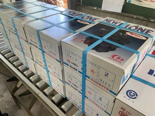 出荷されるぶどう