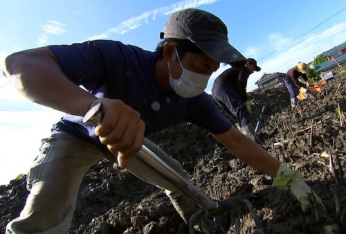作業する濱田さん
