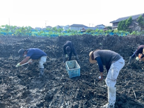 作業する濱田さんたち