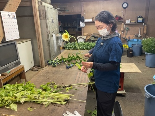 花を切り揃える菜穂美さん