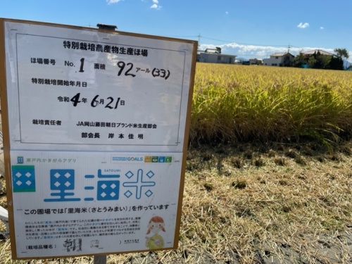 特別栽培米のほ場