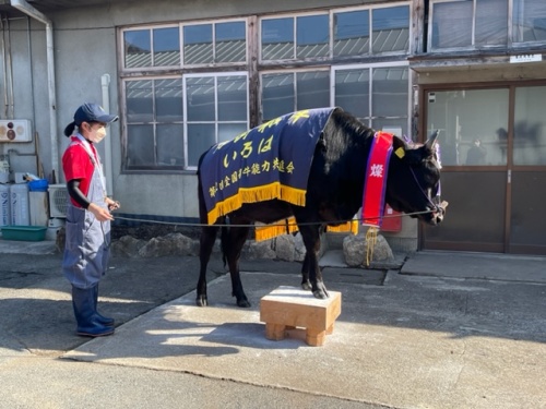 碁盤乗り