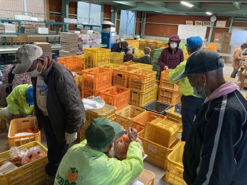 生産者がたくさんの柿を運び込む様子