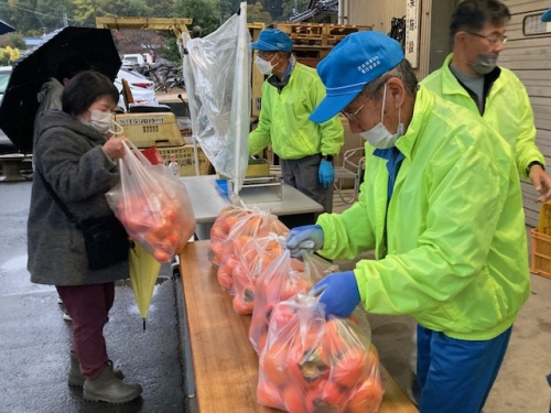 柿購入中