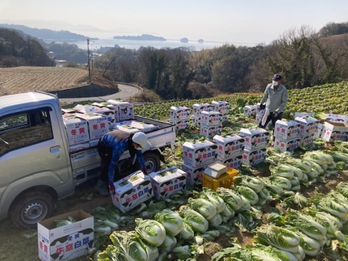 女性スタッフリポート JAグループ岡山 笑味（えみ）ちゃん天気予報