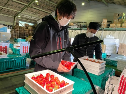 女性スタッフリポート JAグループ岡山 笑味（えみ）ちゃん天気予報