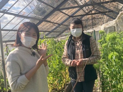 板野さんと難波さん