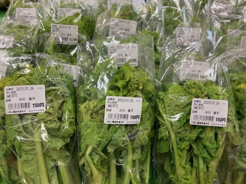 はなやか中央店で販売されている菜の花