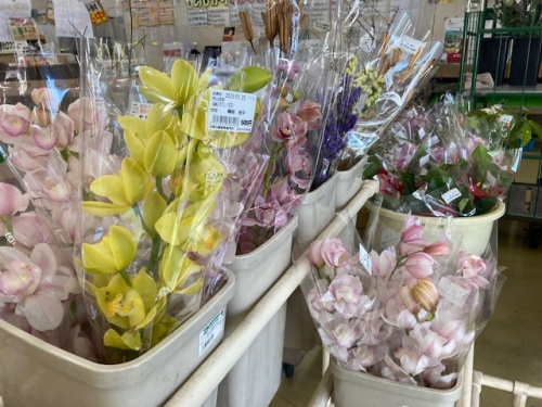 はなやか中央店で販売されている花
