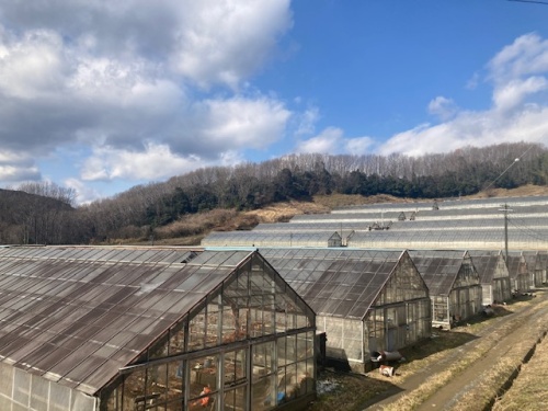 岡山市北区大井にあるメロン団地