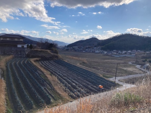 矢掛町小田にあるリーキの畑