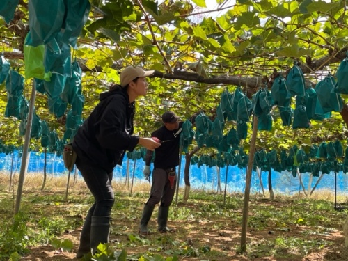 女性スタッフリポート JAグループ岡山 笑味（えみ）ちゃん天気予報