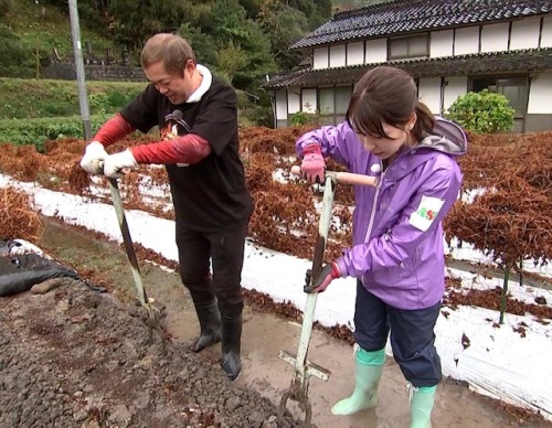 銀沫畑を耕すハロー植田さんと古米キャスター
