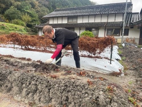 銀沫畑とハロー植田さん